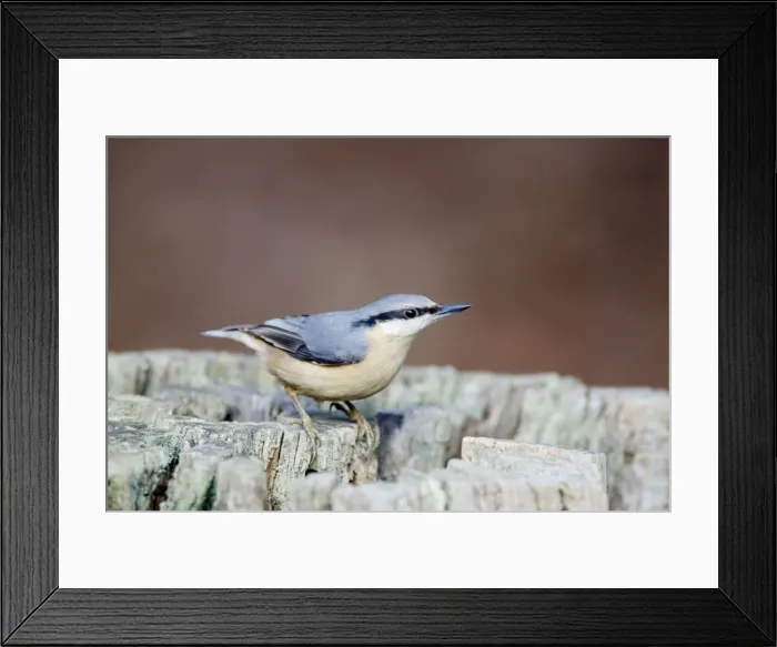 Framed Print : Picture No. 10889038 Framed Print : Picture No. 10889038