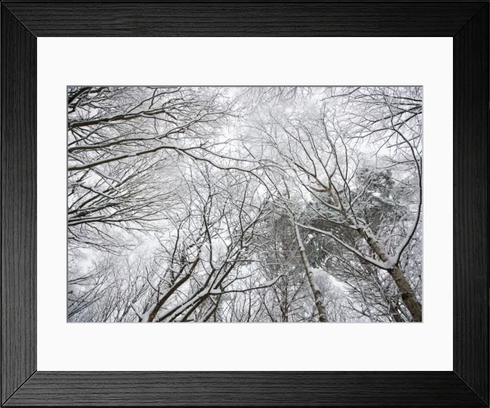 Framed Print : Picture No. 10889028 Framed Print : Picture No. 10889028