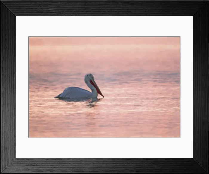 Framed Print : Picture No. 10889055 Framed Print : Picture No. 10889055