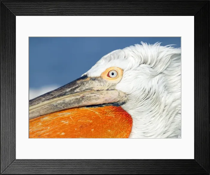 Framed Print : Picture No. 10889065 Framed Print : Picture No. 10889065
