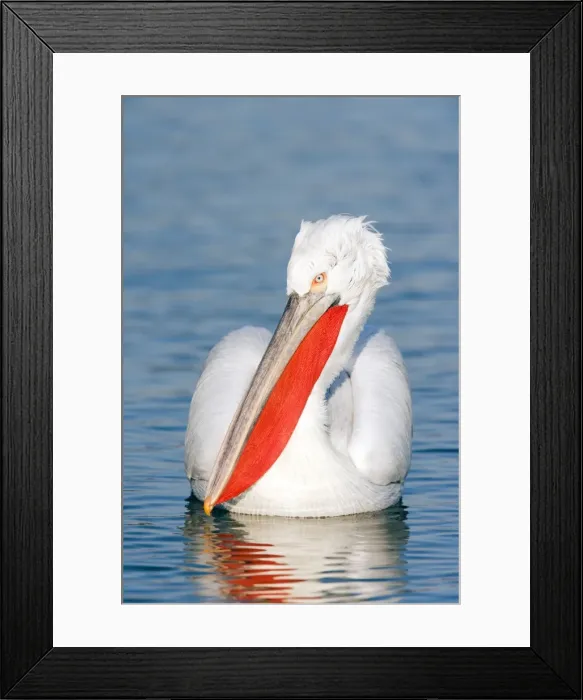 Framed Print : Picture No. 10889067 Framed Print : Picture No. 10889067
