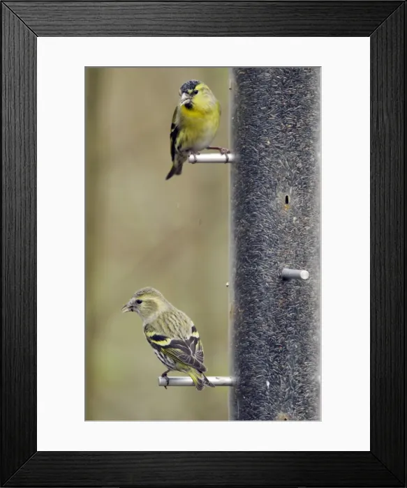 Framed Print : Picture No. 10889068 Framed Print : Picture No. 10889068