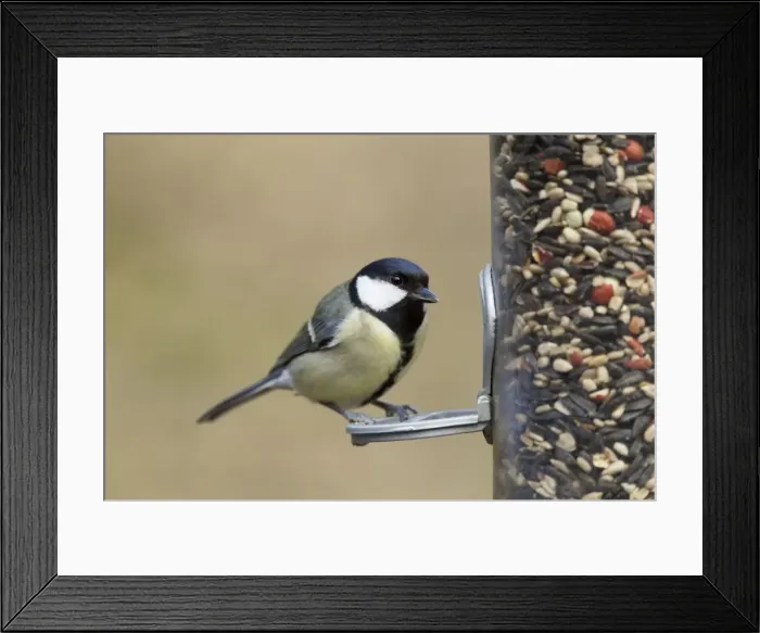 Framed Print : Picture No. 10889089 Framed Print : Picture No. 10889089