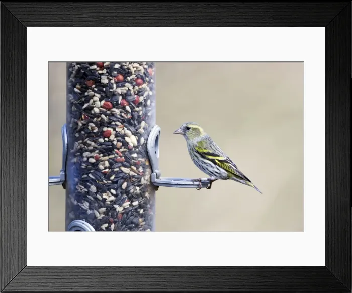 Framed Print : Picture No. 10889095 Framed Print : Picture No. 10889095