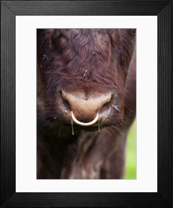 Framed Print : Picture No. 10889106 Framed Print : Picture No. 10889106