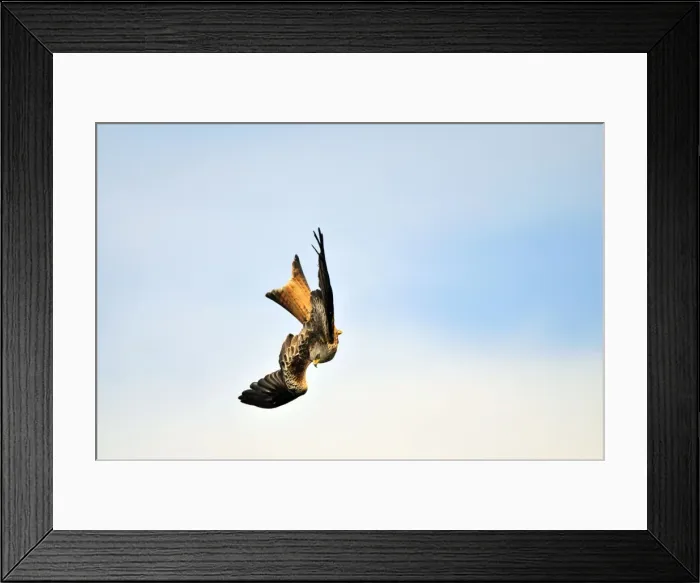 Framed Print : Picture No. 10889109 Framed Print : Picture No. 10889109