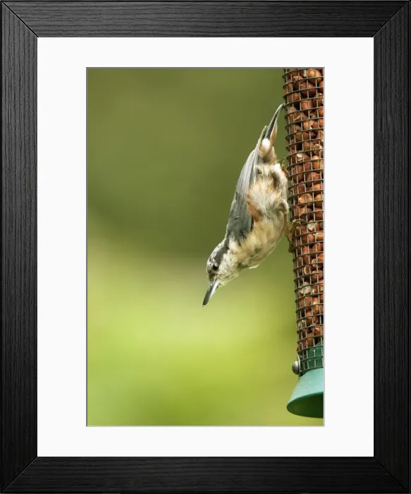 Framed Print : Picture No. 10889114 Framed Print : Picture No. 10889114