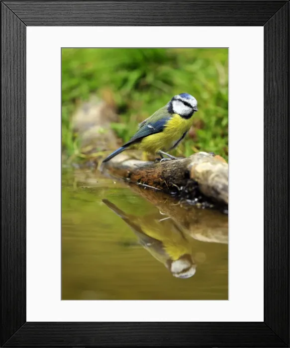 Framed Print : Picture No. 10889117 Framed Print : Picture No. 10889117