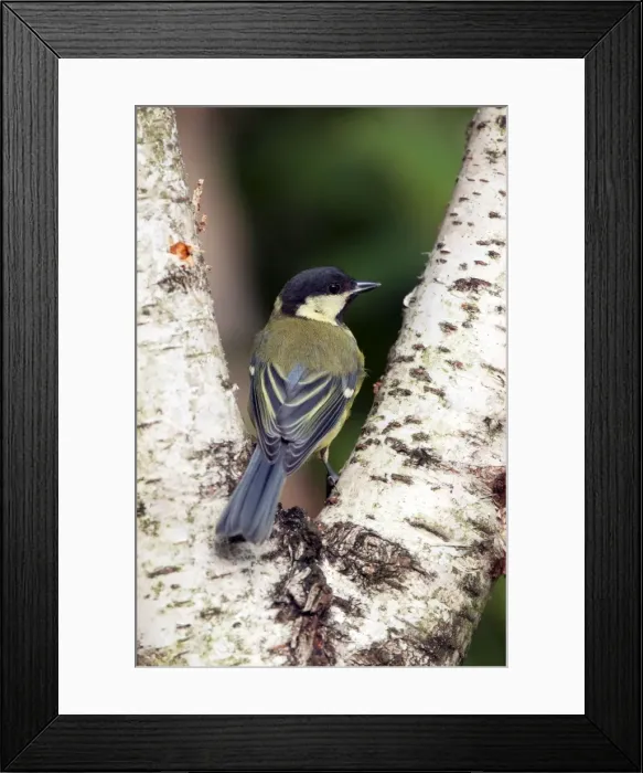 Framed Print : Picture No. 10889120 Framed Print : Picture No. 10889120