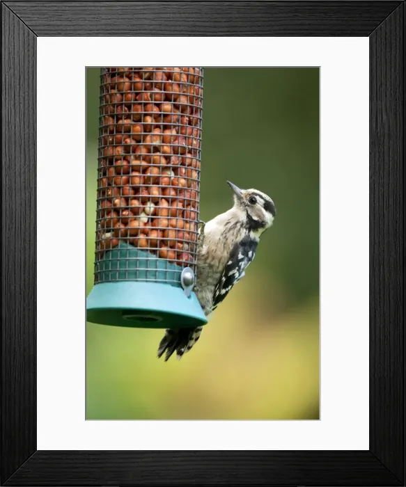 Framed Print : Picture No. 10889124 Framed Print : Picture No. 10889124