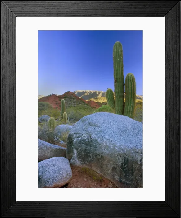 Framed Print : Picture No. 10889185 Framed Print : Picture No. 10889185