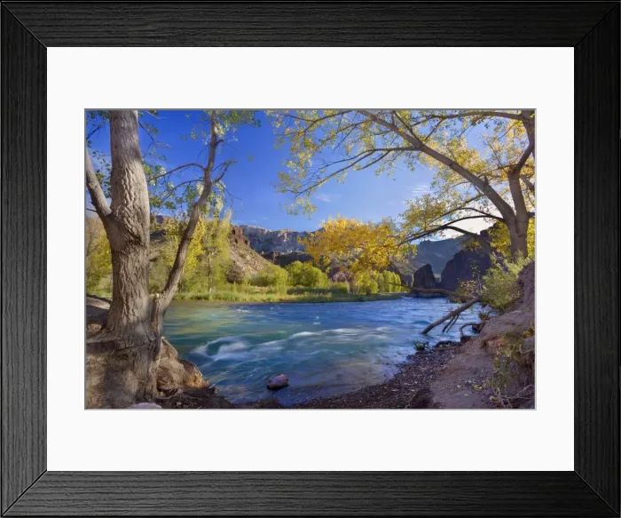 Framed Print : Picture No. 10889193 Framed Print : Picture No. 10889193