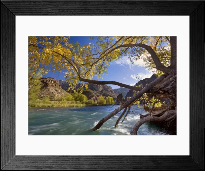 Framed Print : Picture No. 10889195 Framed Print : Picture No. 10889195