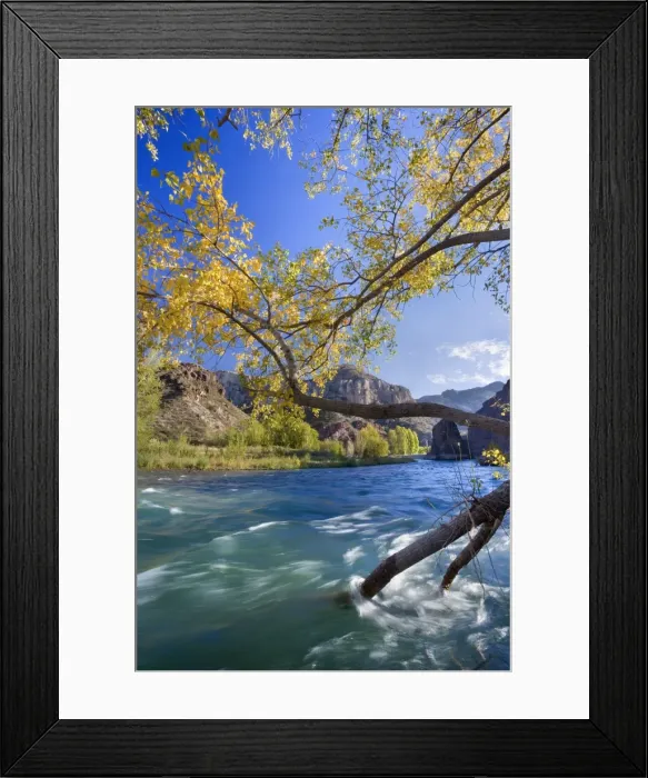 Framed Print : Picture No. 10889194 Framed Print : Picture No. 10889194