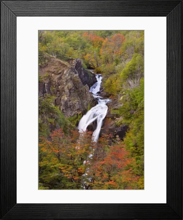 Framed Print : Picture No. 10889207 Framed Print : Picture No. 10889207
