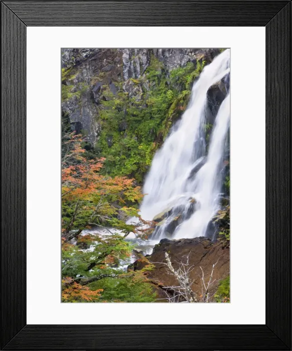 Framed Print : Picture No. 10889208 Framed Print : Picture No. 10889208