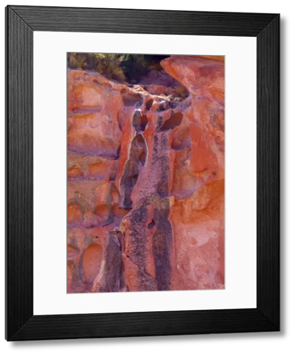 Framed Print : Picture No. 10889232 Framed Print : Picture No. 10889232