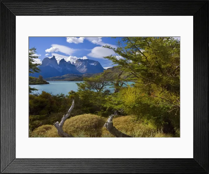 Framed Print : Picture No. 10889239 Framed Print : Picture No. 10889239