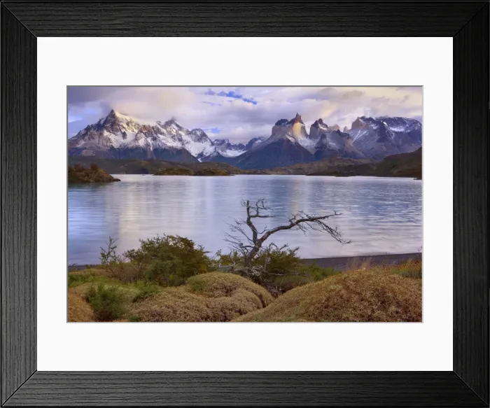 Framed Print : Picture No. 10889253 Framed Print : Picture No. 10889253
