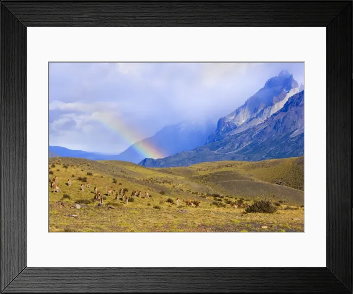 Framed Print : Picture No. 10889296 Framed Print : Picture No. 10889296