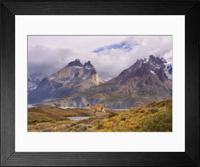 Framed Print : Picture No. 10889301