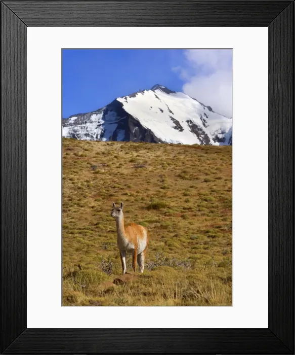 Framed Print : Picture No. 10889298 Framed Print : Picture No. 10889298