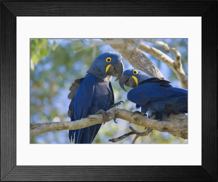 Framed Print : Picture No. 10889306