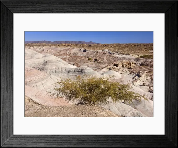 Framed Print : Picture No. 10889345 Framed Print : Picture No. 10889345