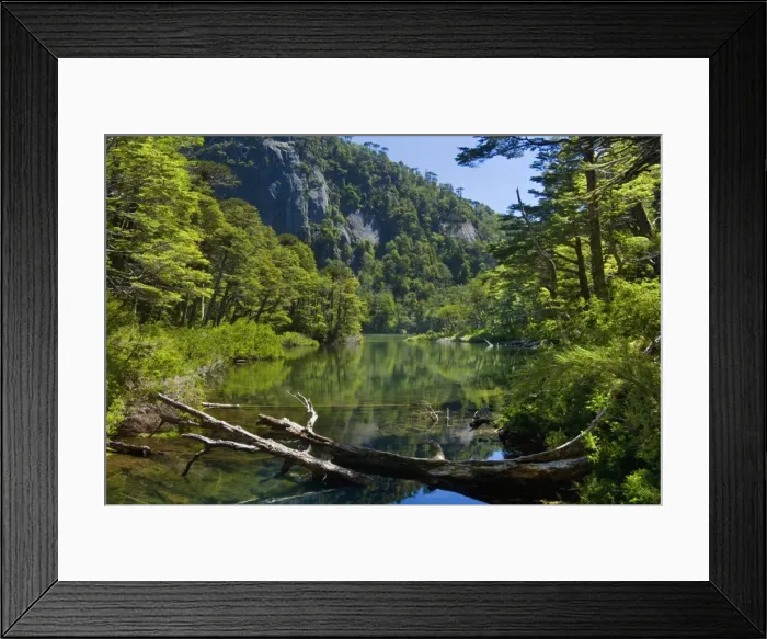 Framed Print : Picture No. 10889359 Framed Print : Picture No. 10889359