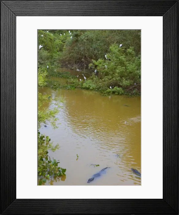 Framed Print : Picture No. 10889365 Framed Print : Picture No. 10889365