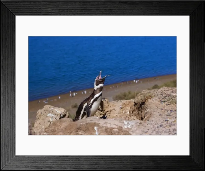 Framed Print : Picture No. 10889388 Framed Print : Picture No. 10889388