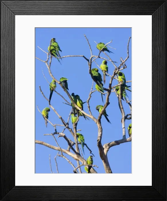 Framed Print : Picture No. 10889405 Framed Print : Picture No. 10889405