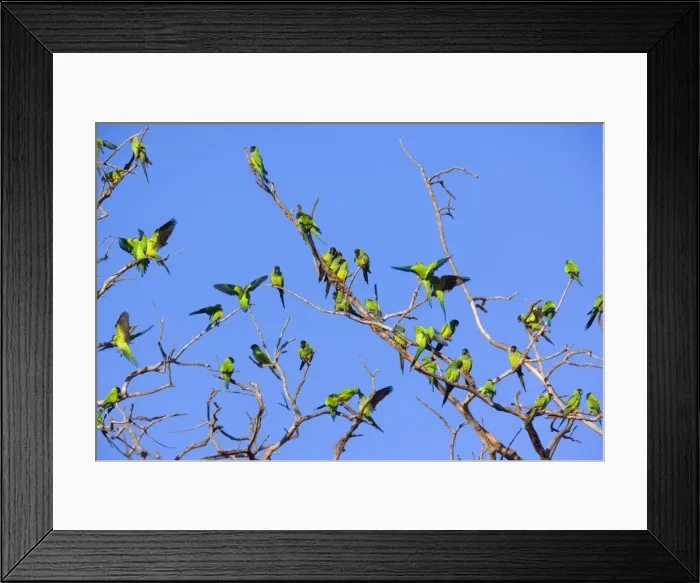 Framed Print : Picture No. 10889407 Framed Print : Picture No. 10889407