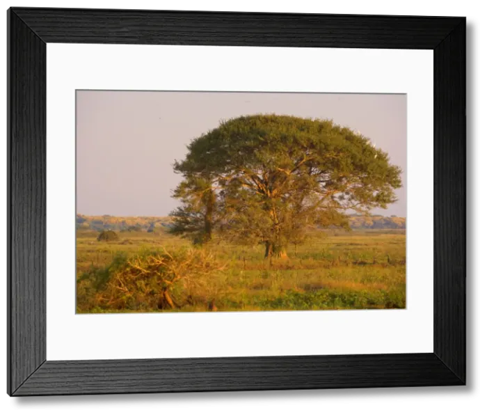Framed Print : Picture No. 10889408 Framed Print : Picture No. 10889408