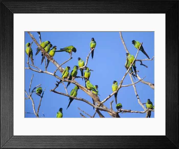 Framed Print : Picture No. 10889406