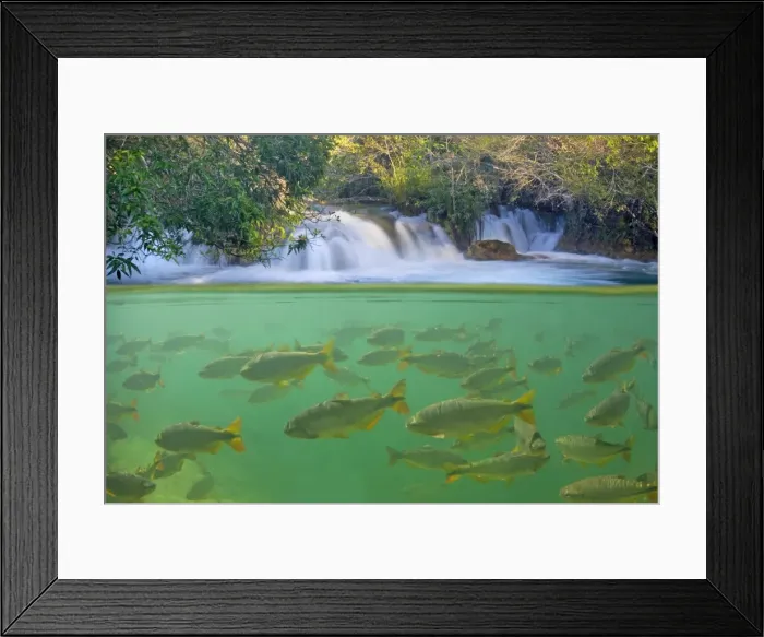 Framed Print : Picture No. 10889431 Framed Print : Picture No. 10889431
