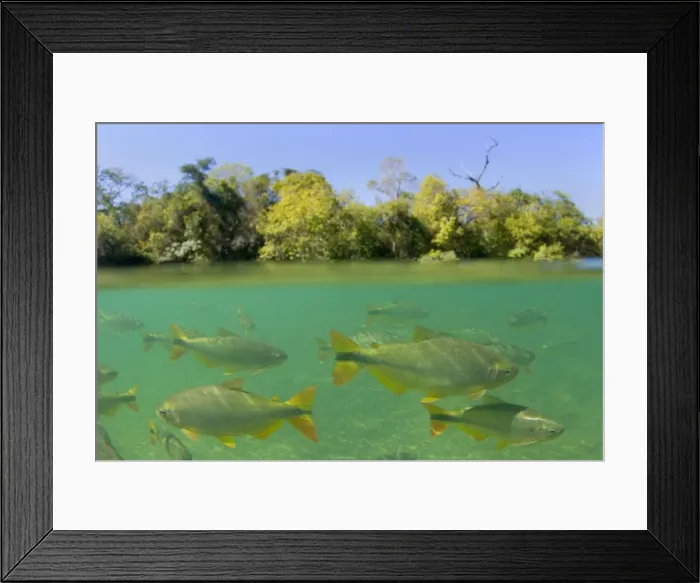 Framed Print : Picture No. 10889435 Framed Print : Picture No. 10889435