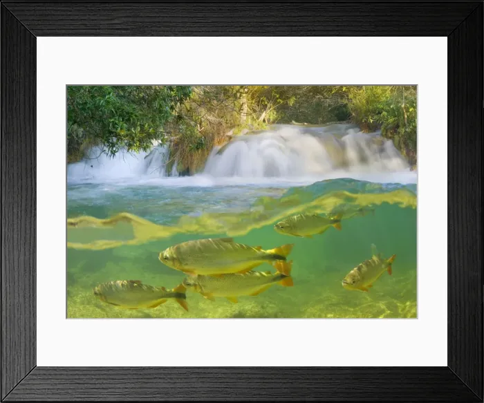 Framed Print : Picture No. 10889432 Framed Print : Picture No. 10889432