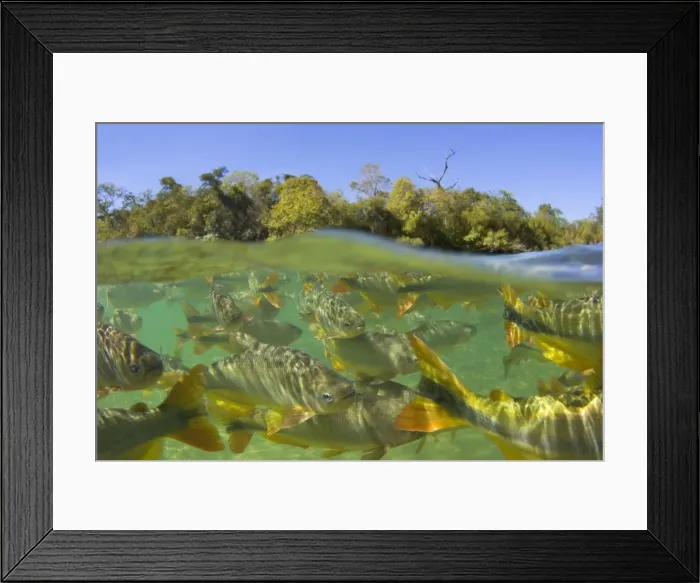 Framed Print : Picture No. 10889434 Framed Print : Picture No. 10889434