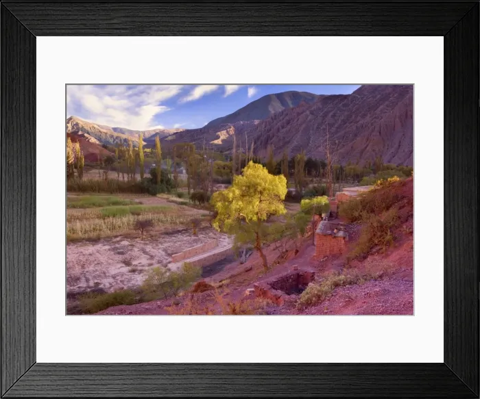 Framed Print : Picture No. 10889439 Framed Print : Picture No. 10889439