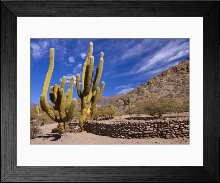 Framed Print : Picture No. 10889446 Framed Print : Picture No. 10889446