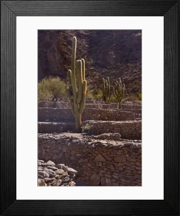 Framed Print : Picture No. 10889447 Framed Print : Picture No. 10889447