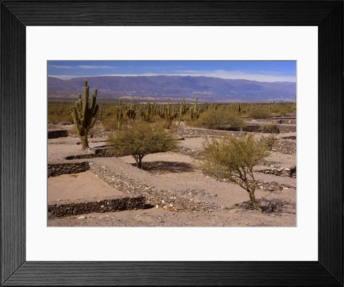 Framed Print : Picture No. 10889448 Framed Print : Picture No. 10889448