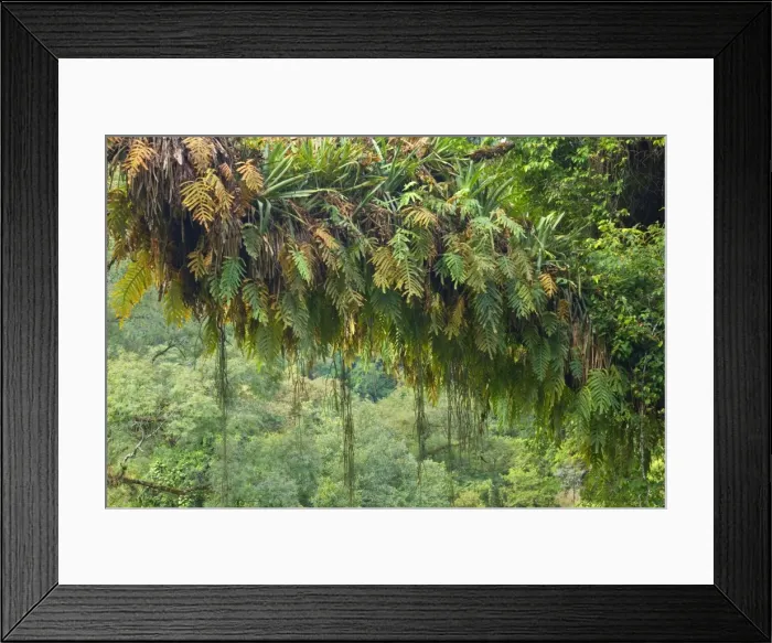 Framed Print : Picture No. 10889453