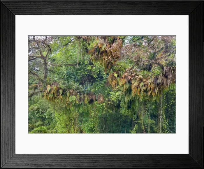 Framed Print : Picture No. 10889454 Framed Print : Picture No. 10889454