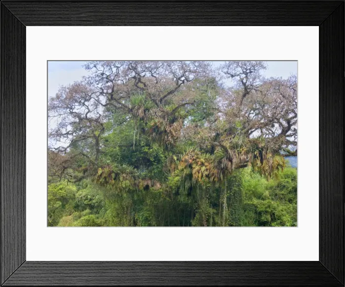 Framed Print : Picture No. 10889451 Framed Print : Picture No. 10889451