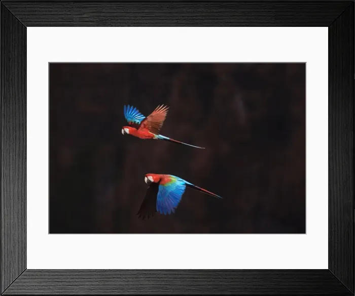Framed Print : Picture No. 10889468 Framed Print : Picture No. 10889468
