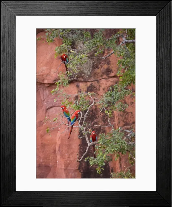 Framed Print : Picture No. 10889469 Framed Print : Picture No. 10889469