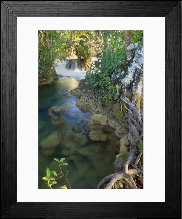 Framed Print : Picture No. 10889479 Framed Print : Picture No. 10889479