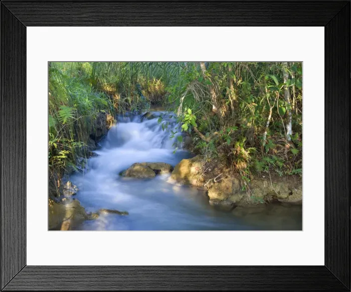 Framed Print : Picture No. 10889481 Framed Print : Picture No. 10889481